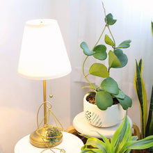 Trailing Hoya Kerrii Heart (At least 3+ leaves) - 4/6 inch: 4 inch