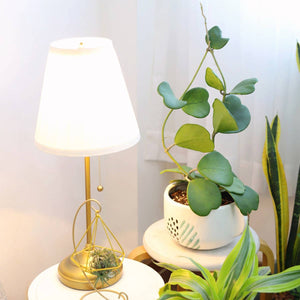 Trailing Hoya Kerrii Heart (At least 3+ leaves) - 4/6 inch: 4 inch