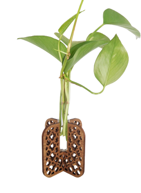 Plant Propagation Stand - Walnut Moroccan Tile Pattern