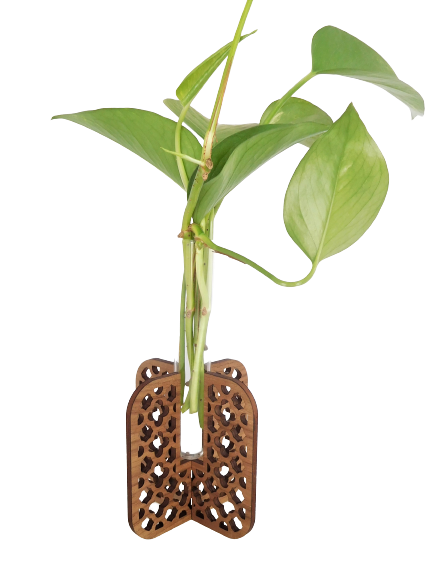 Plant Propagation Stand - Walnut Moroccan Tile Pattern