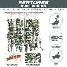 Bathroom Decor Real Eucalyptus for Shower and Lavender Fresh Eucalyptus Stems Wall Hanging Decor Fragrance Greenery Wall Hanging for Wedding Decor,Bedroom,Living Room,Kitchen,Boho Home Decor