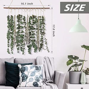 Bathroom Decor Real Eucalyptus for Shower and Lavender Fresh Eucalyptus Stems Wall Hanging Decor Fragrance Greenery Wall Hanging for Wedding Decor,Bedroom,Living Room,Kitchen,Boho Home Decor