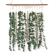 Bathroom Decor Real Eucalyptus for Shower and Lavender Fresh Eucalyptus Stems Wall Hanging Decor Fragrance Greenery Wall Hanging for Wedding Decor,Bedroom,Living Room,Kitchen,Boho Home Decor