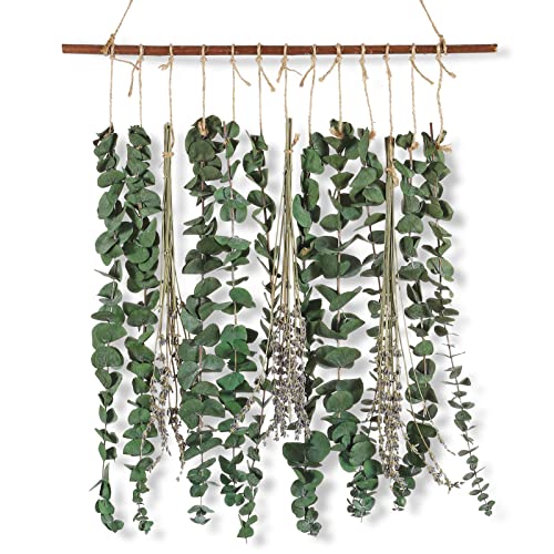 Bathroom Decor Real Eucalyptus for Shower and Lavender Fresh Eucalyptus Stems Wall Hanging Decor Fragrance Greenery Wall Hanging for Wedding Decor,Bedroom,Living Room,Kitchen,Boho Home Decor