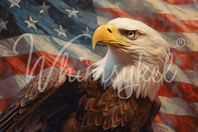 Merica | 18 lb Decoupage Tissue Paper | 21x29 in