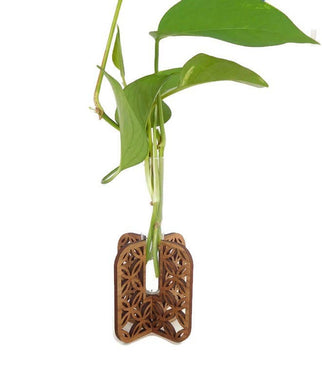 Plant Propagation Stand - Walnut Interlacing Circles Pattern