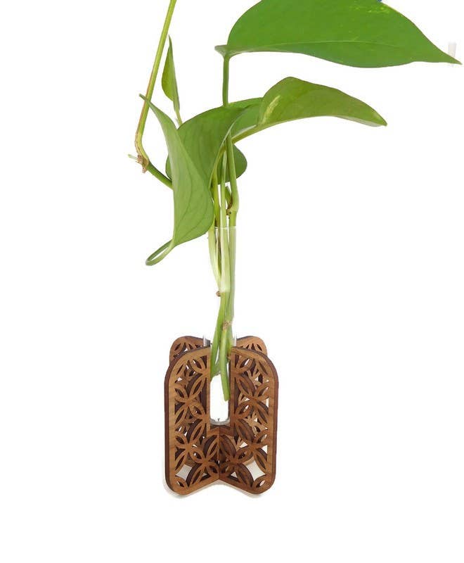 Plant Propagation Stand - Walnut Interlacing Circles Pattern