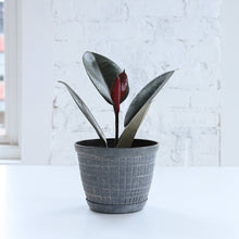 Rustic Planter for Houseplants, Multiple Sizes: Green / Small