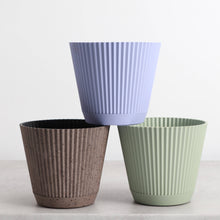 Decorative Ruffled Pot for Plants - 4" and 6" Options: Sage / 4"