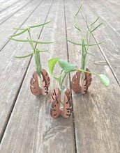Plant Propagation Stand - Set of 3