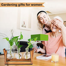 Renmxj Plant Propagation Station, Plant Terrarium with Wooden Stand, Unique Gardening Birthday Gifts for Women Plant Lovers, Home Office Garden Decor Planter - 3 Bulb Glass Vases